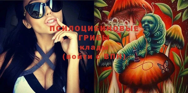 шишки Кинешма
