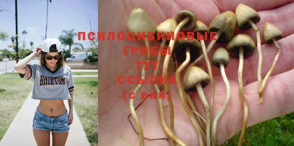 бошки Киреевск